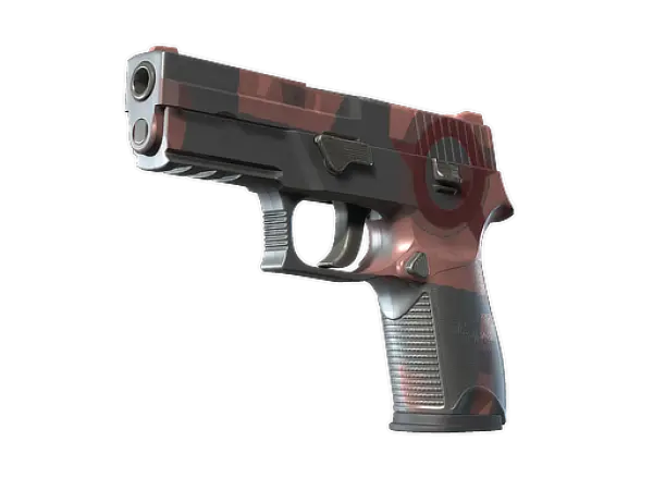 P250 | Constructivist (Fabrikneu)
