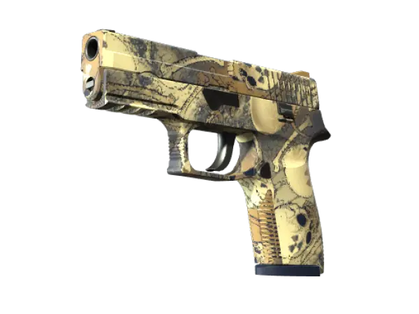 P250 | Kontamination (Fabrikneu)
