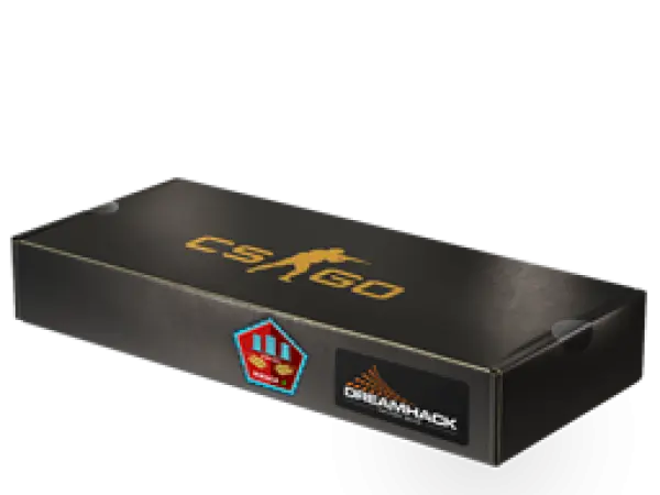 Сувенірний набір «DreamHack 2014 — Mirage»